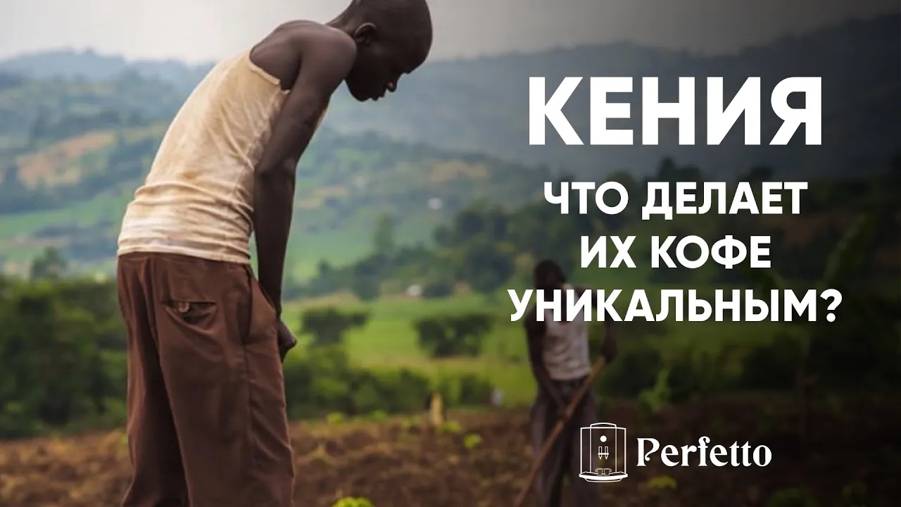 Уникальность кофе из Кении. Почему он такой необычный? И в целом о кофе еще немного... смотреть онлайн