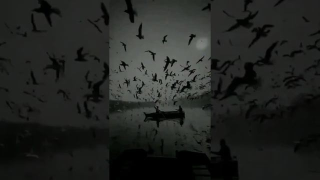 Idris & Leos Дурная привычка смотреть онлайн