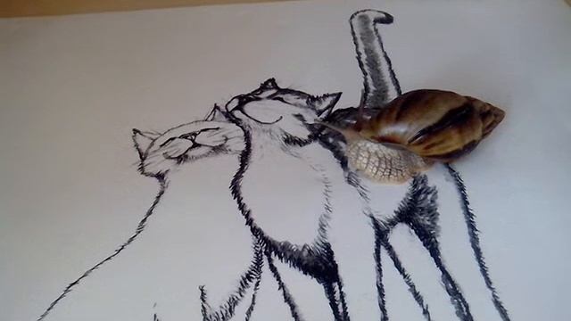 *Уход за улитятами* Кладка улитки - что делать???  Болталка с Беней)))