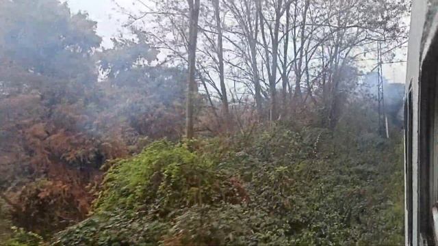 Отправление со станции Сухум на поезде №305С Сухум-Москва смотреть онлайн