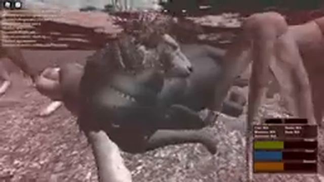 Hunting male cape buffalo with lion pride ROBLOX Testing A смотреть онлайн