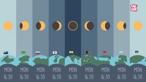 Sun 101 | All About The Sun | The Dr Binocs Show | Peekaboo Kidz