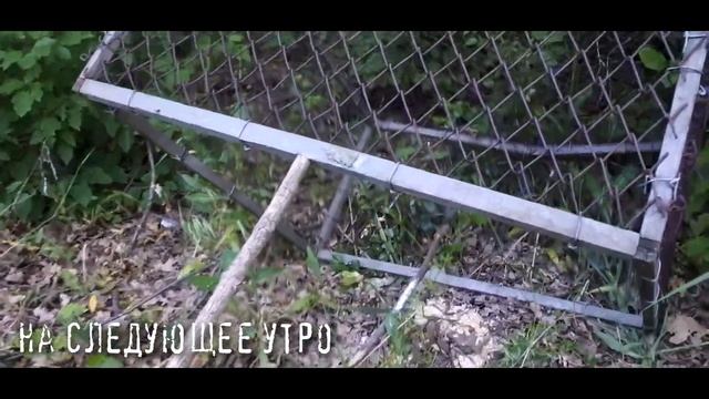 Как поймать ДИЧЬ! Ловушка на фазана! смотреть онлайн