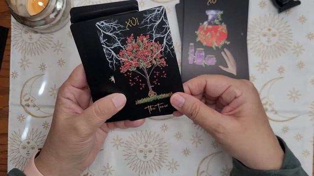 Unboxing the Pactical Magic Inner Witch Tarot #innerwitchtarot смотреть онлайн