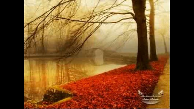 Mozart Flute Quartet in D K 285 Adagio.avi смотреть онлайн