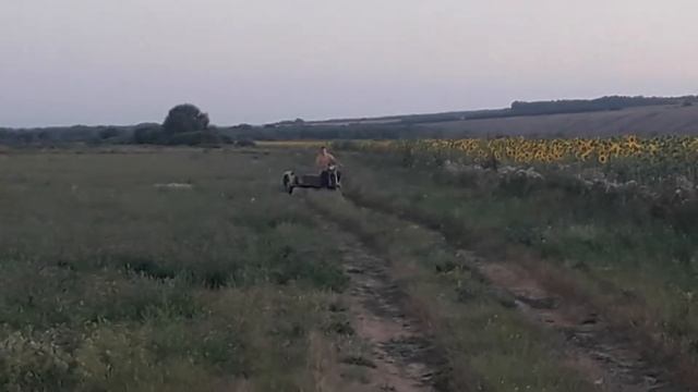 | ОБЗОР НА УРАЛ 60 - Х ГОДОВ| ТЕСТ ДРАЙВ смотреть онлайн