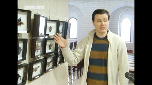 Выставка бабочек открывается в Вологде смотреть онлайн