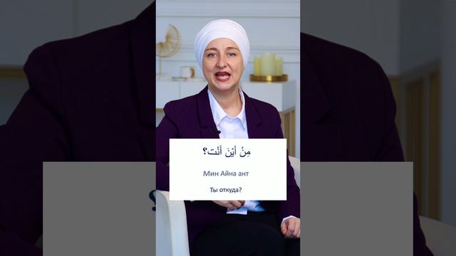 Как познакомиться с арабом? #арабскийязык #арабский #арабы #любовь #оаэ #арабскийалфавит #египет смотреть онлайн