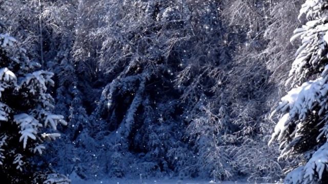 С первым днем зимы смотреть онлайн