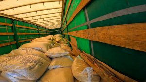 РАЗВАЛИЛИСЬ ПОДДОНЫ, ПРОСЕЛ МОСТ.