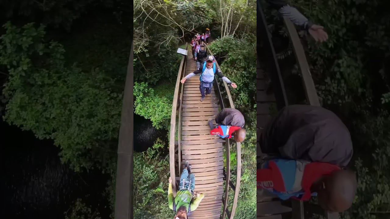 Kilimanjaro Super girls. Day 2 смотреть онлайн