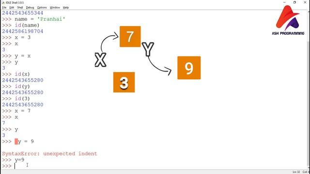 #10 More on Variables | Python Basics смотреть онлайн