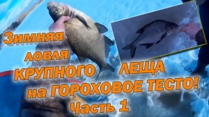Ловля КРУПНОГО ЛЕЩА зимой. «Отличная зимняя рыбалка» - часть 1. Выезд третий.