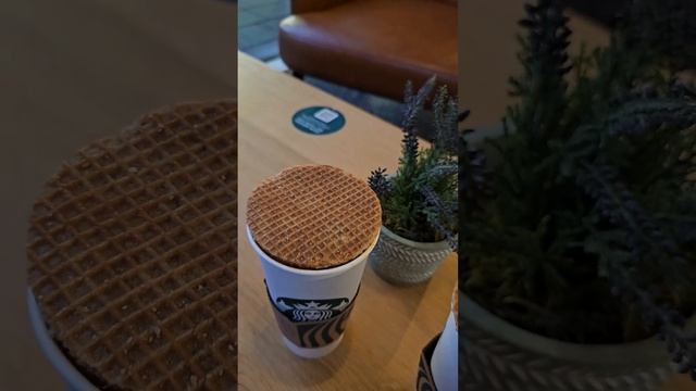 Как правильно есть голландские Стропвафли ?? смотреть онлайн