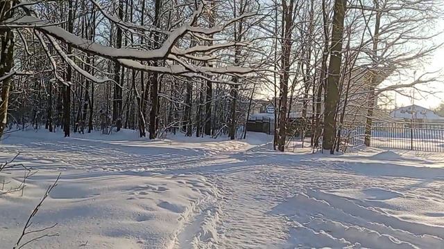 зимний лес в -27. заполняем кормушки для птиц смотреть онлайн