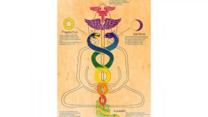 💜 Kundalini Class. Урок №29. Пранамайя-коша. Сушумна. Ида. Пингала