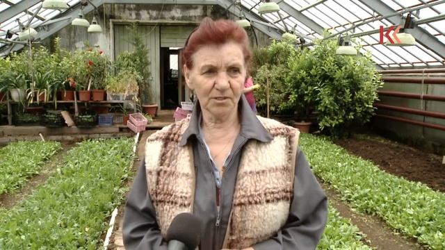 Оранжерея цветы для города смотреть онлайн