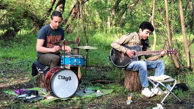 #губная_гармошка #harmonica Не бродяги, не пропойцы #stratocastro смотреть онлайн