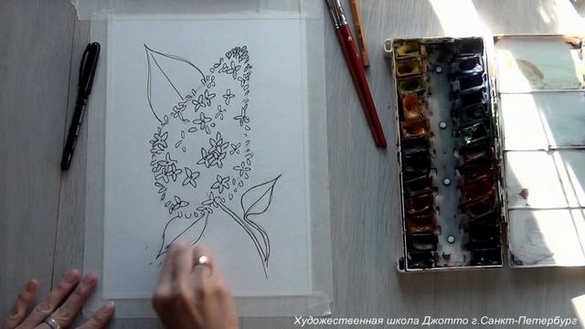Ботанический скетчинг смотреть онлайн