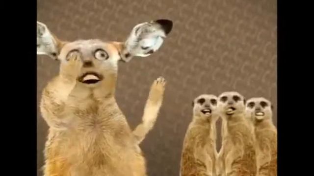 💝👍смишно