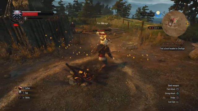 The Witcher 3, Toss A Coin To Your Witcher, PS5 Game-Play