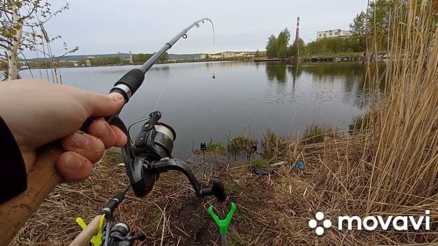 СОРЕВНОВАНИЯ! DUNAEV ?против ВАРËНОГО ПШЕНА.РЫБАЛКА НА ЛЕЩА НА ФИДЕР.подписываемся? дружим? смотреть онлайн