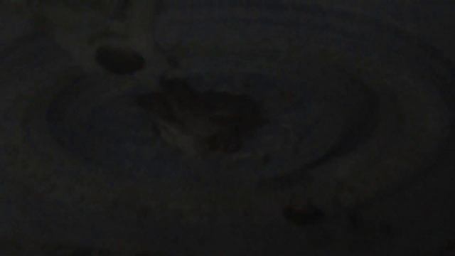 Музей Дача Шаляпина в городе Кисловодск смотреть онлайн