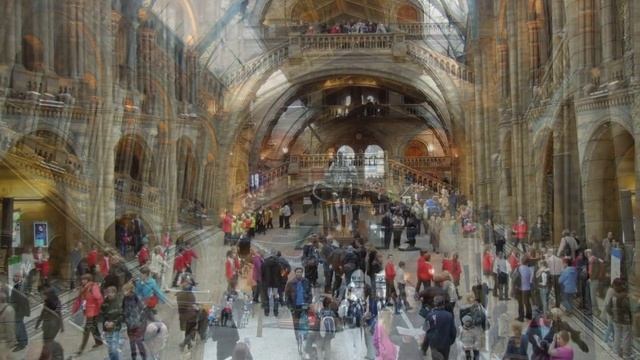 Natural History Museum. London (Музей естествознания) смотреть онлайн