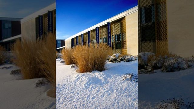 University of Illinois | Wikipedia audio article смотреть онлайн