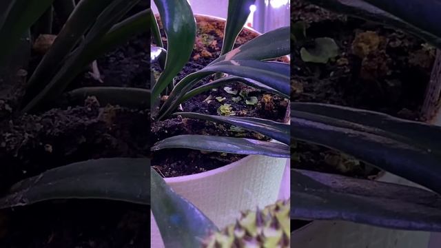 Вечерние новости | 25.01.2023г. смотреть онлайн