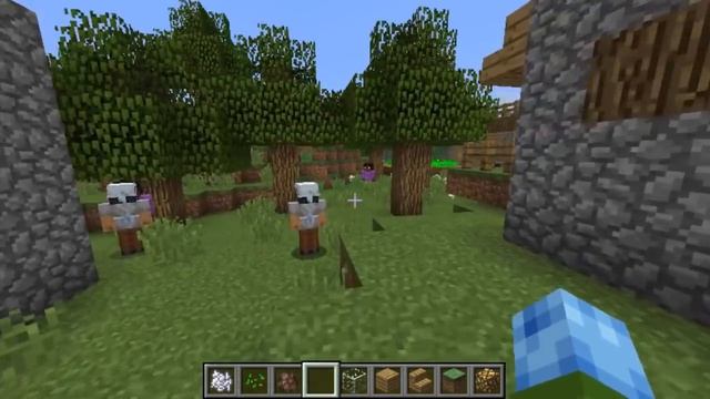 Custom Villager Models With a Resource Pack! смотреть онлайн