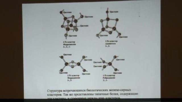 Казанков Г. М. - Механизмы ферментативного катализа - Металлы в составе ферментов смотреть онлайн