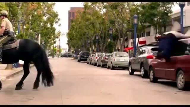 Не обижайте лошадь смотреть онлайн