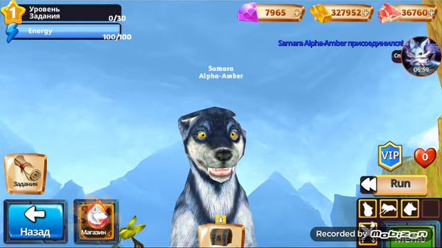 мини-фильм (была нубиком но стала альфой) игра, [Wolf Evolition) прода за 3 лайка 🥰😍🤗 смотреть онлайн