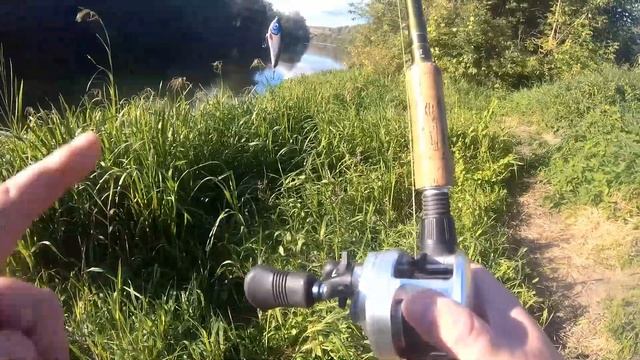 Открываю осенний сезон с Hard Baits Big Game Shad смотреть онлайн