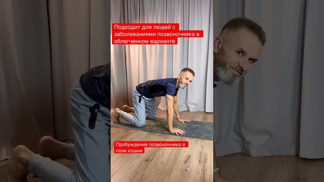 Пробуждение позвоночника в позе кошки смотреть онлайн