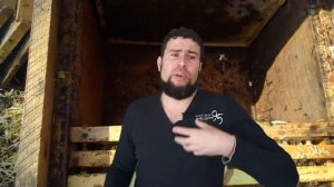 Первые облеты пчел весной что делать Первые работы на пасеке. Весенняя ревизия п