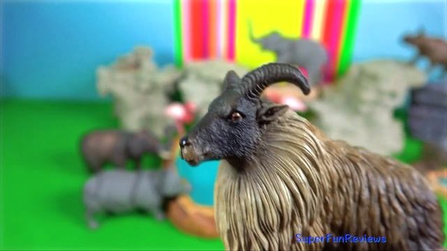 Indian Animals - Tiger, Lion, Elephant, Rhino, Peafowl, Tahr, Ibex, Markhor 13+