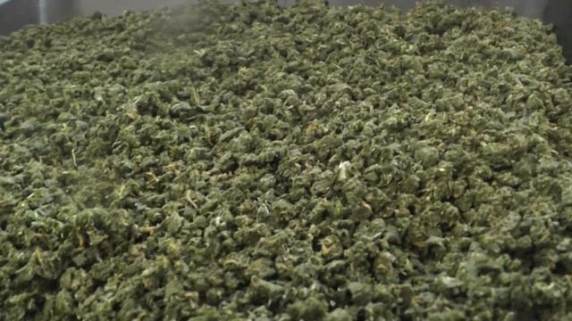 Делай То, Что Вдохновляет Других