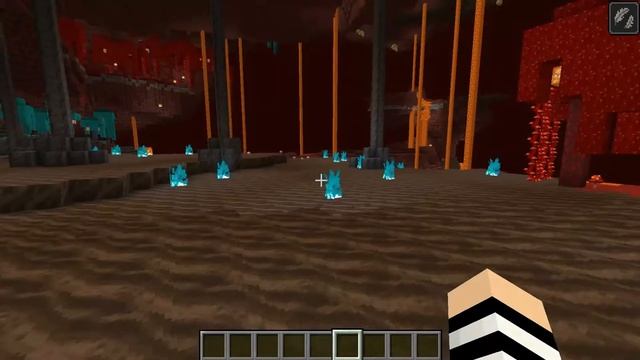 FUTURE VERSIONS 1.12.2 : BIOMAS DEL NETHER Y PIGSTEP смотреть онлайн