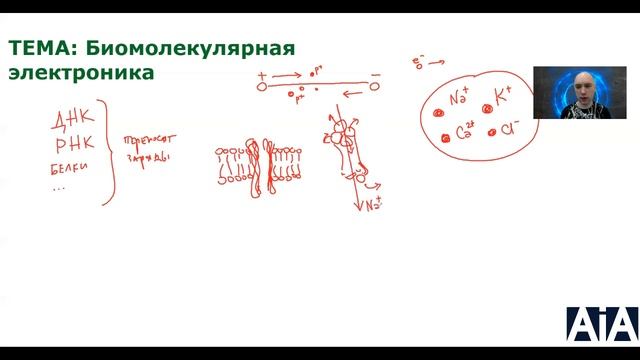 Что такое биомолекулярная электроника? Душкин объяснит смотреть онлайн