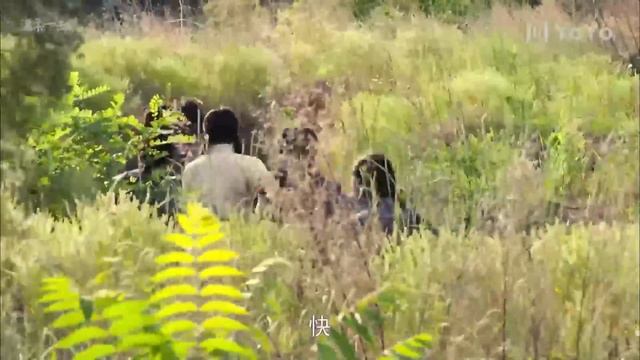 【Full Movie】日軍偷襲村莊，農婦提前設伏，打到日軍鬼哭狼嚎 ⚔️ 功夫 | Kung Fu смотреть онлайн