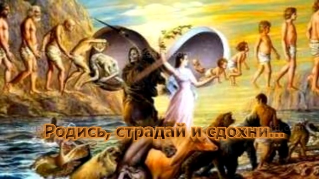 Ас Гард. Нас жёстко обманули смотреть онлайн