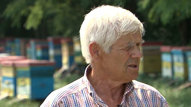 «Агрономика». Бизнес на пасеке (3.08.2016) смотреть онлайн