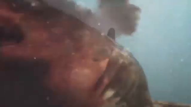 Tóxic Shark / Music Video смотреть онлайн