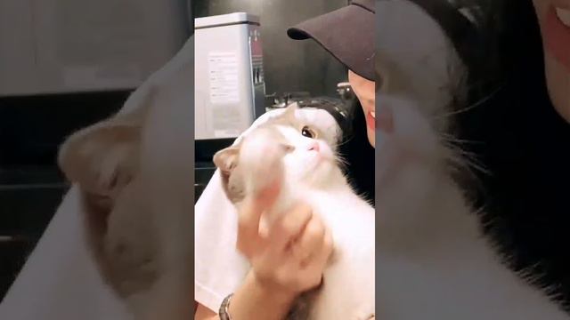 Лисюша❤️❤️