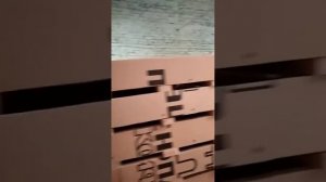 Перепела Фараон, Техасский белый. какая порода лучше?