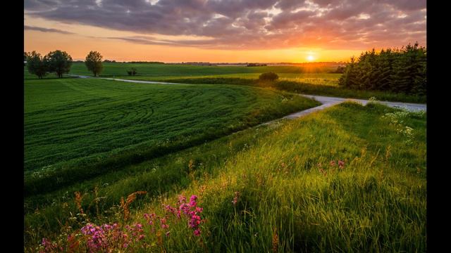 Вивальди Лето 2 часть. Природа и музыка смотреть онлайн