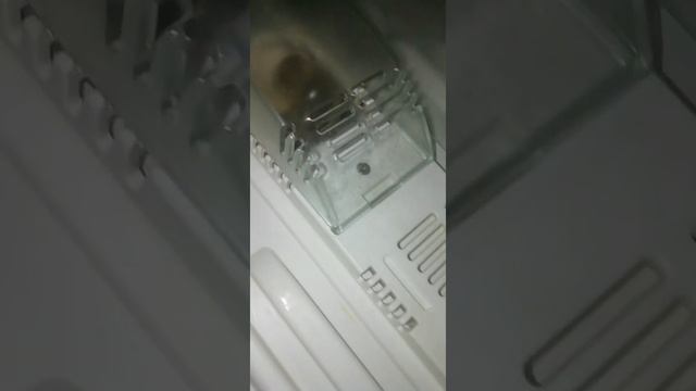 Прикол Как я залез в холодильнике смотреть онлайн