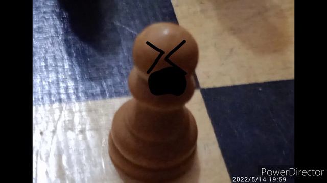 Шахи Махи или логика шахмат ( мультик про шахматы ) смотреть онлайн